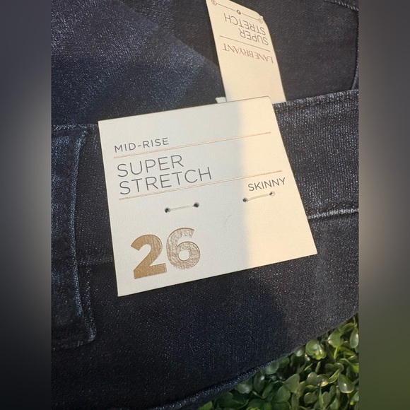 Lane Bryant - Picture 11 of 11